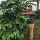 Jose Luis & Rosario / Melon Microlot