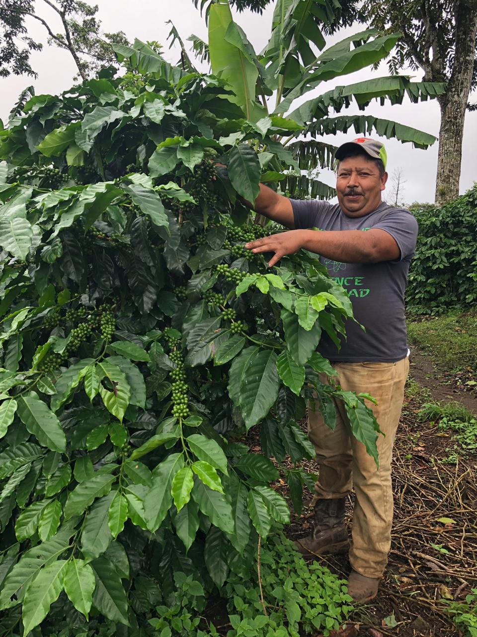 Jose Luis & Rosario / Melon Microlot